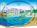 Natural_capital