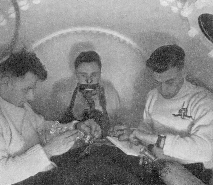 File:File-Oxygen toxicity testing.jpeg