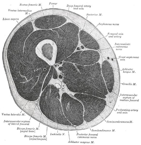 File:Gray432.png