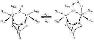 File:O2+hemerythrin.svg