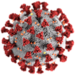 SARS-CoV-2 virus