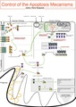 Thumbnail for version as of 13:38, 8 June 2026