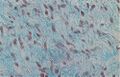 Thumbnail for version as of 13:37, 8 June 2026