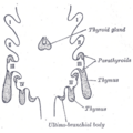 Thumbnail for version as of 17:28, 18 May 2026