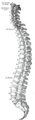 Thumbnail for version as of 01:21, 2 June 2026