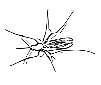 File:Mosquito2020.svg