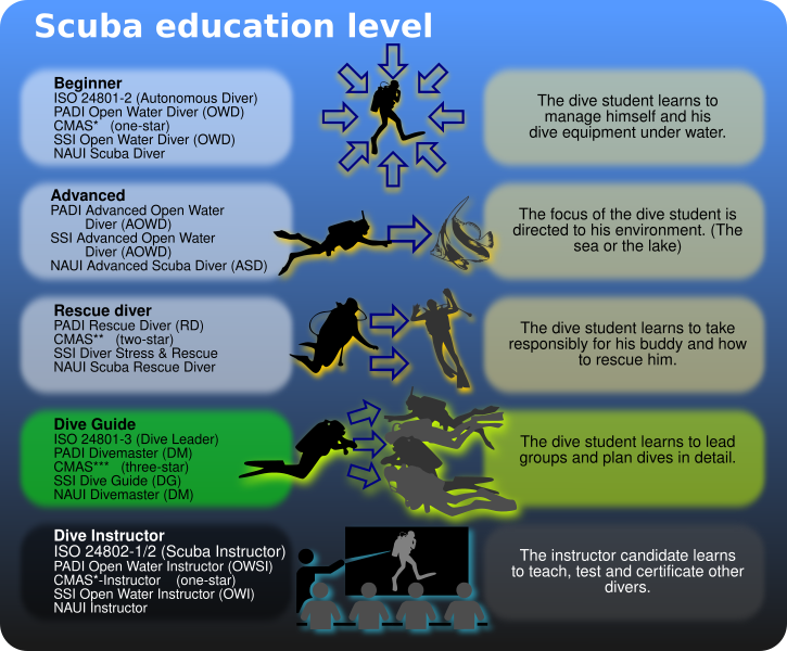 File:Scuba education levels.svg