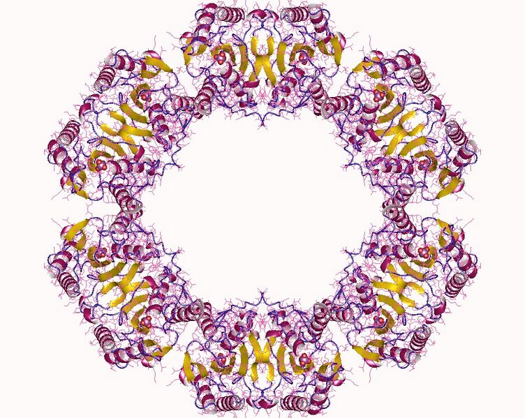 File:5muf.jpg