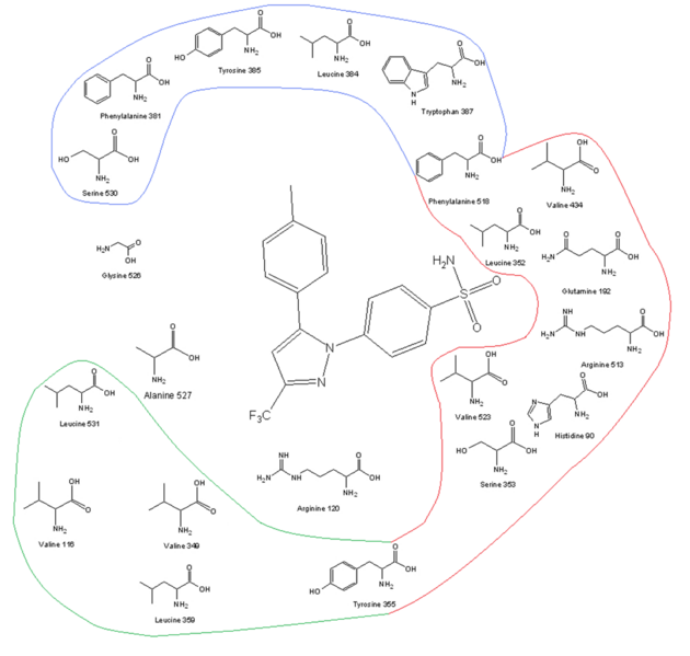 File:COXII-receptor.png