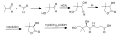 Pantothenic acid synthesis