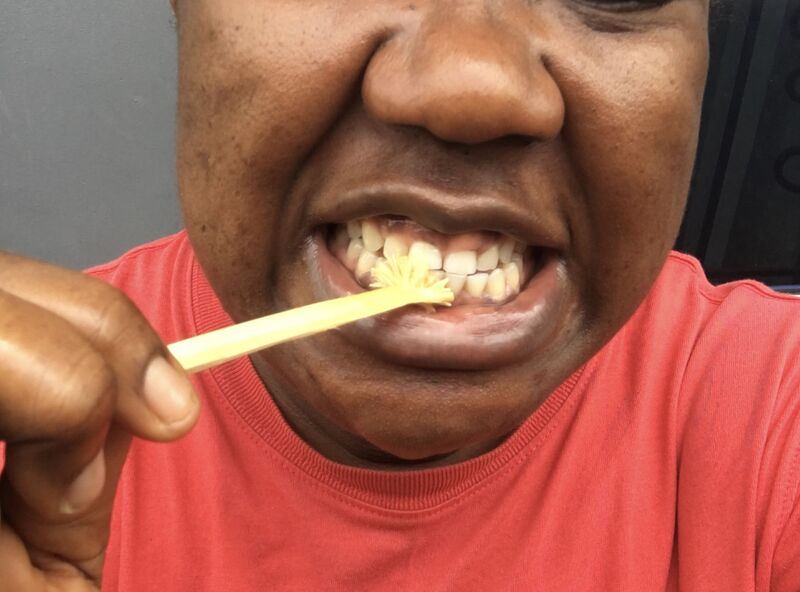 File:Brushing teeth with chewing stick.jpg