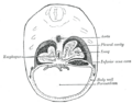 Thumbnail for version as of 17:27, 18 May 2026