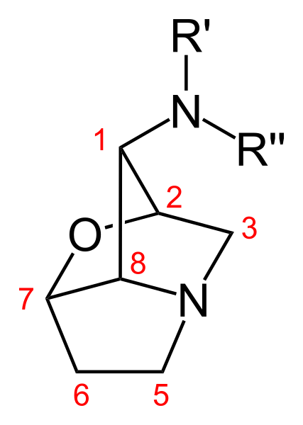 File:Loline core structure.svg