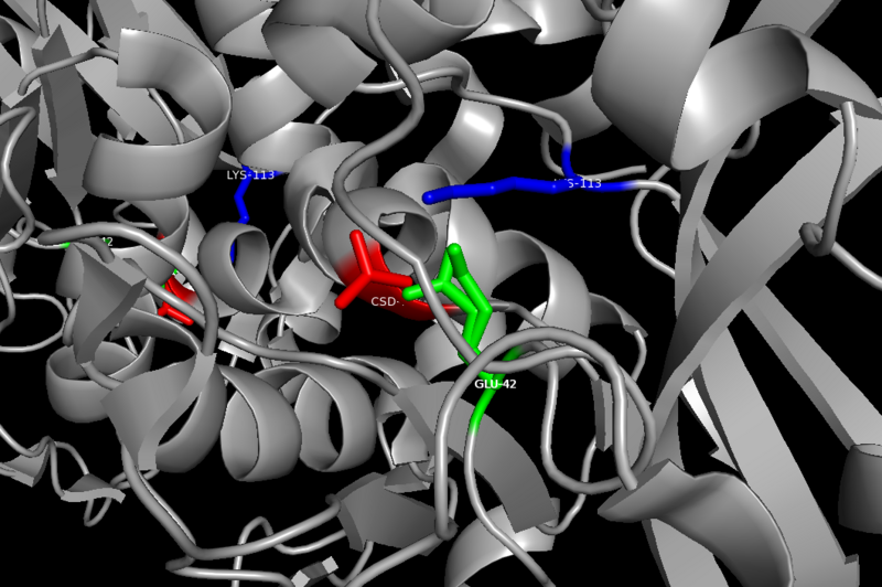 File:Nitrilase Active Site.png