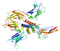 Protein IL2RG structure