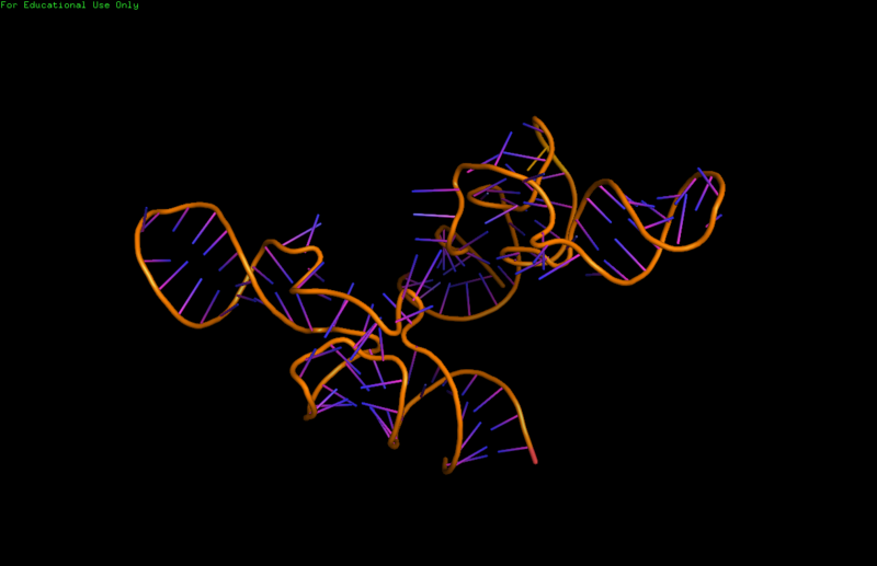 File:TDLcartoonstructure.png