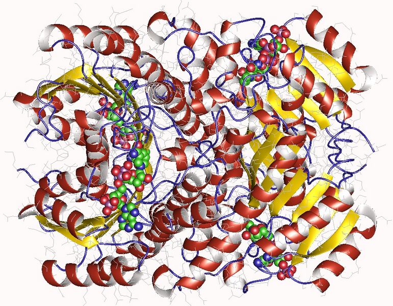 File:3rsh.jpg
