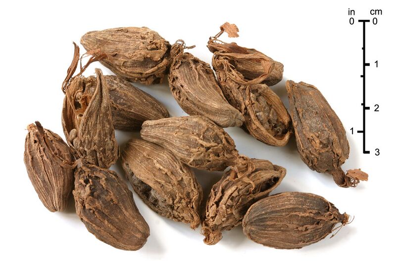 File:BlackCardamom.jpg