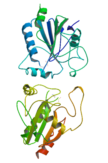 File:GlutPeroxidase-1GP1.png
