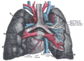 Thumbnail for version as of 17:28, 18 May 2026