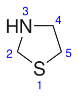 File:Thiazolidine-2D-numbering.svg