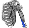 Thumbnail for version as of 19:18, 4 June 2026