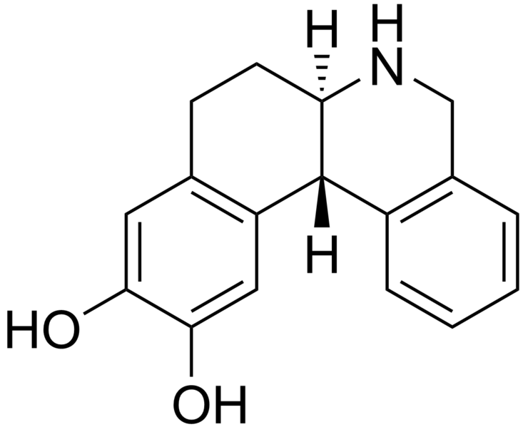 File:Dihydrexidine structure.png