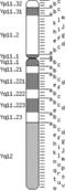 Thumbnail for version as of 19:26, 7 June 2024