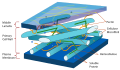 Plant cell wall diagram