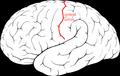 Thumbnail for version as of 13:40, 8 June 2026