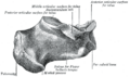 Thumbnail for version as of 17:28, 18 May 2026