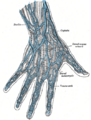 The radial artery