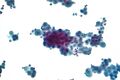 Thumbnail for version as of 03:21, 5 June 2026