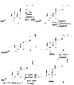 Thumbnail for version as of 22:30, 8 June 2026