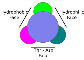 File:AFPnew.svg