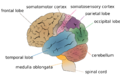 Thumbnail for version as of 13:37, 8 June 2026