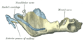 Thumbnail for version as of 17:28, 18 May 2026