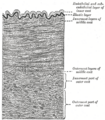 Thumbnail for version as of 17:27, 18 May 2026