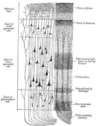 File:Gray754.png