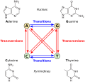 Thumbnail for version as of 22:13, 18 May 2026