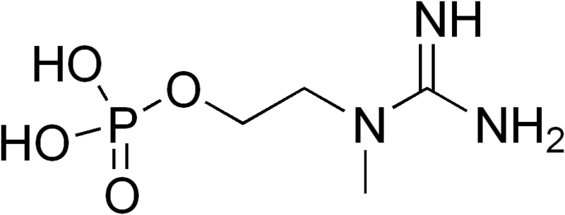 File:Creatinolfosfate.png