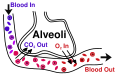 Thumbnail for version as of 11:33, 19 May 2026