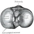 Thumbnail for version as of 17:28, 18 May 2026
