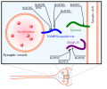 Thumbnail for version as of 03:21, 5 June 2026