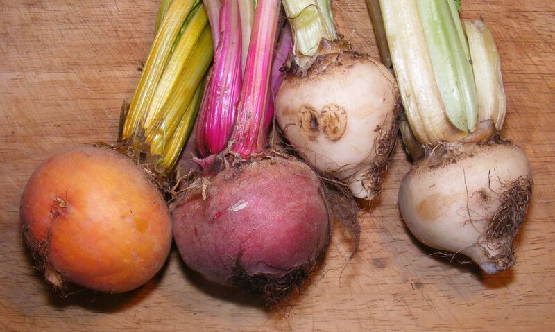 File:Uncommon beetroot colours.jpg