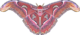 Thumbnail for version as of 03:21, 5 June 2026