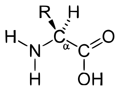 File:AminoAcidIcon.svg