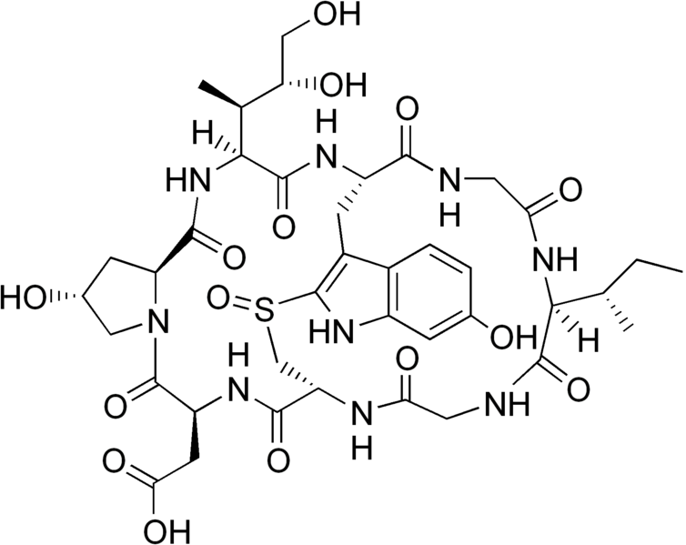 File:Beta-amanitin structure.png