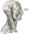 Thumbnail for version as of 17:28, 18 May 2026