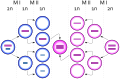 Thumbnail for version as of 22:33, 8 June 2026